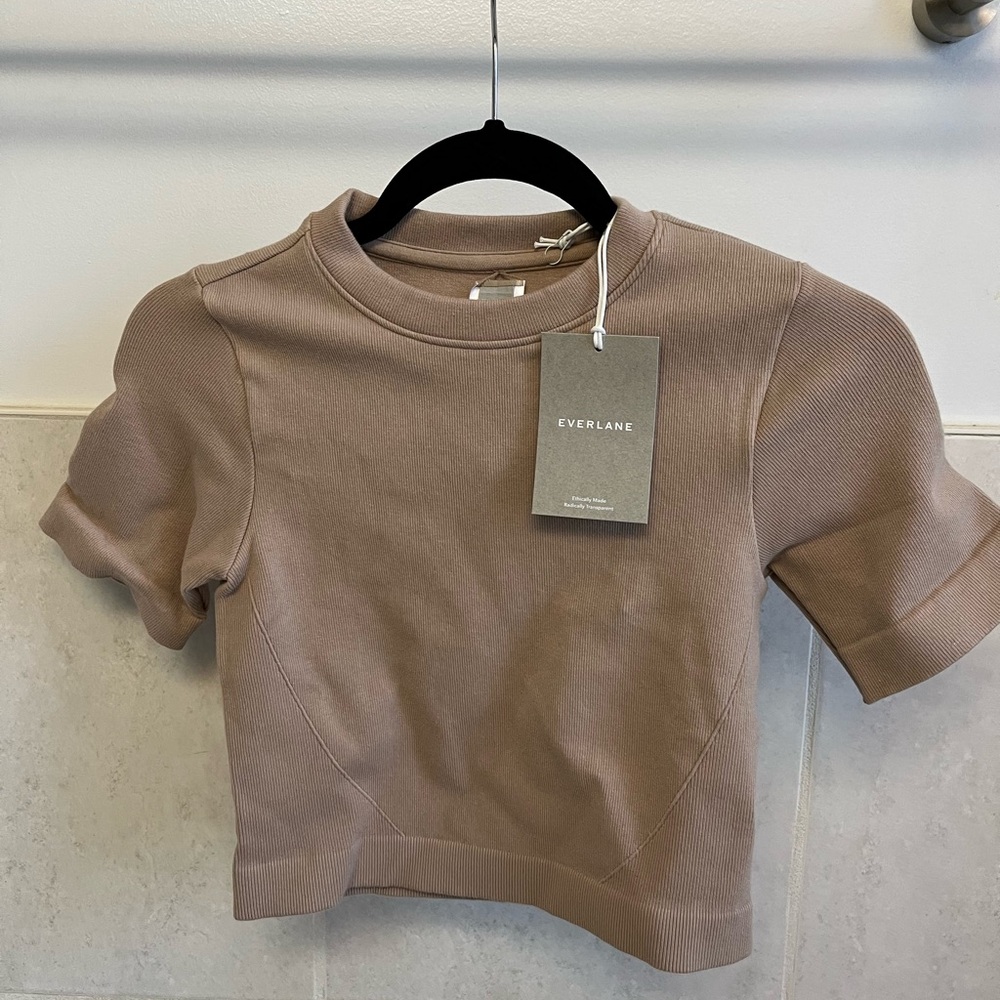 Everlane crop top seamless t-shirt